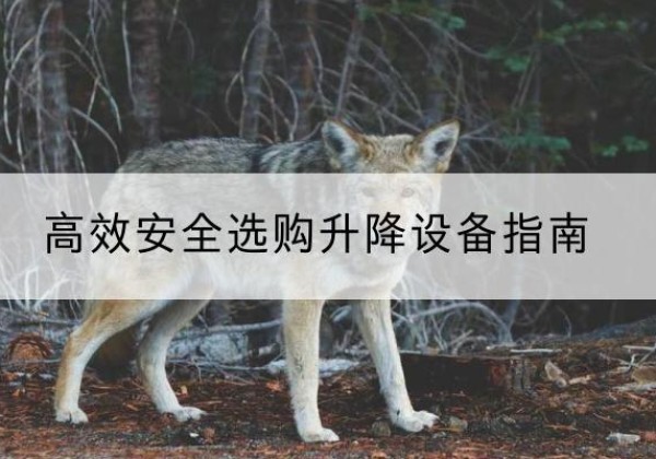 喜德升降货梯厂家推荐-*安全选购升降设备指南