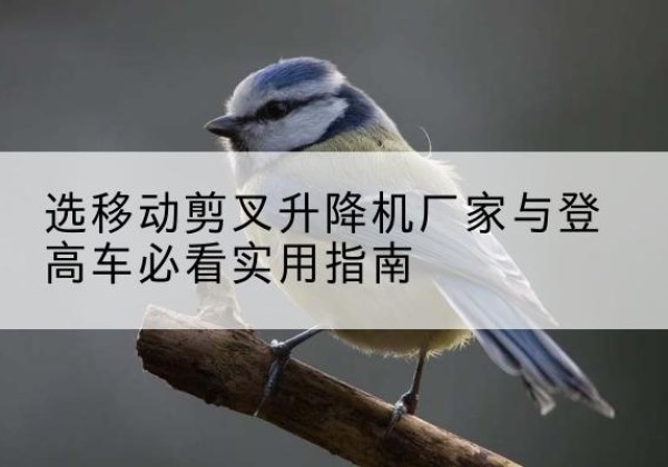喜德电动升降机厂家-选移动剪叉升降机厂家与登高车必看实用指南