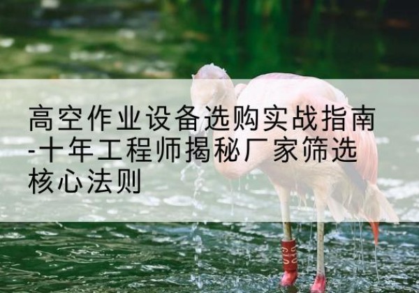 喜德剪叉式升降机厂家-高空作业设备选购实战指南-十年工程师揭秘厂家筛选核心法则